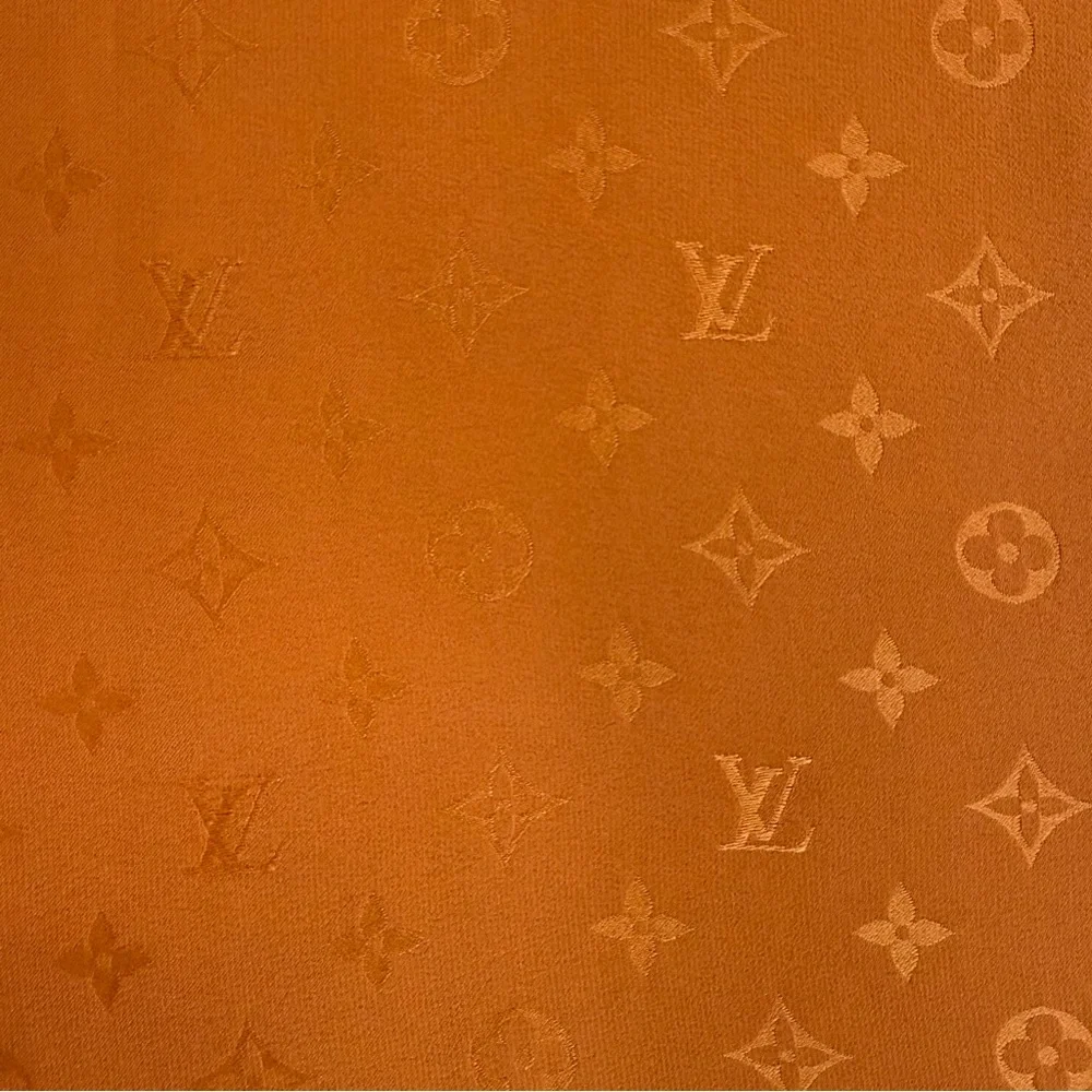 Authentic Louis Vouitton Scarf